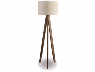 Dallson Floor Lamp