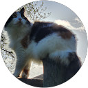 Jeanine V. profile picture