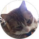 Dena S. profile picture